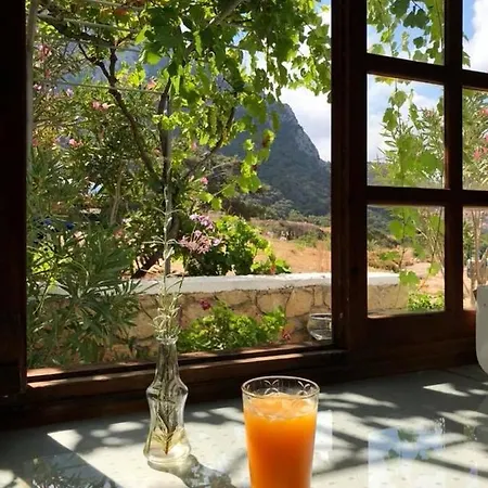 Aparthotel Kathys Island Retreat