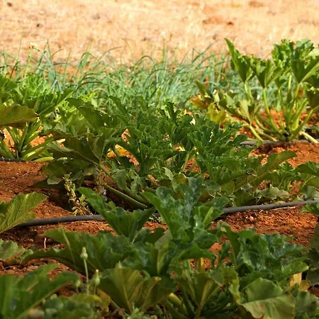 Kathys Island Retreat Apart Otel 4*