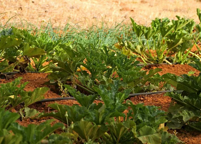 Kathys Island Retreat شقة فندقية 4*